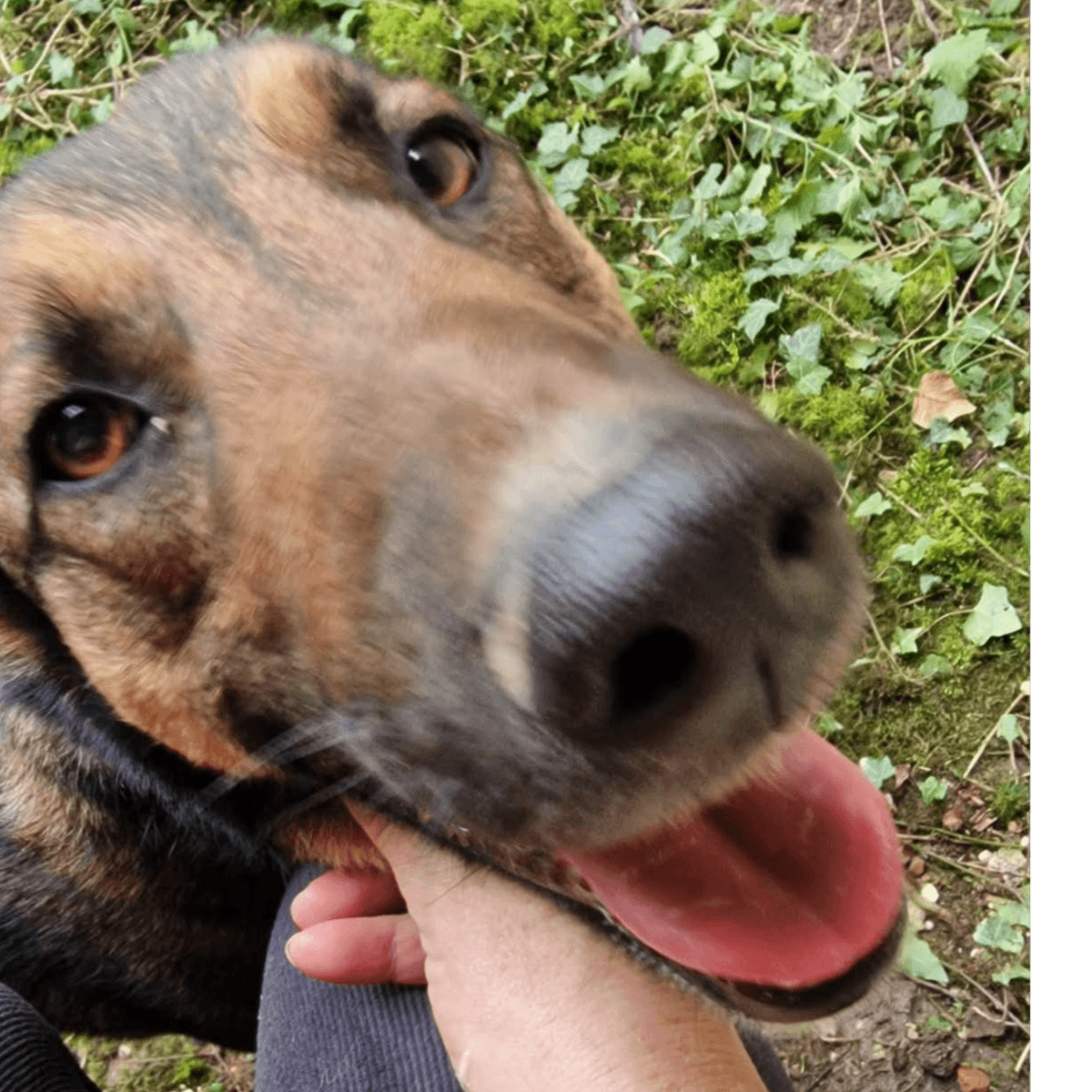 Duke